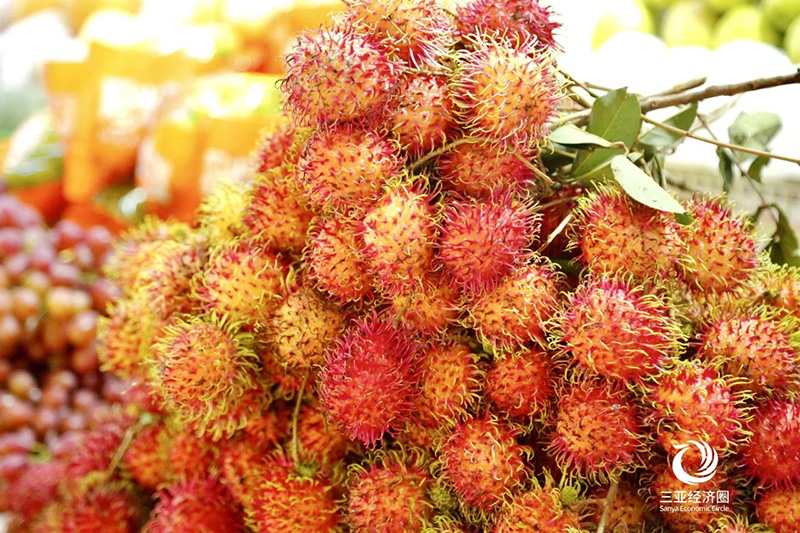 豪门国际官网-追求康健,你我一起生长