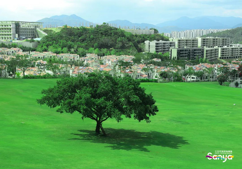 豪门国际官网-追求康健,你我一起生长