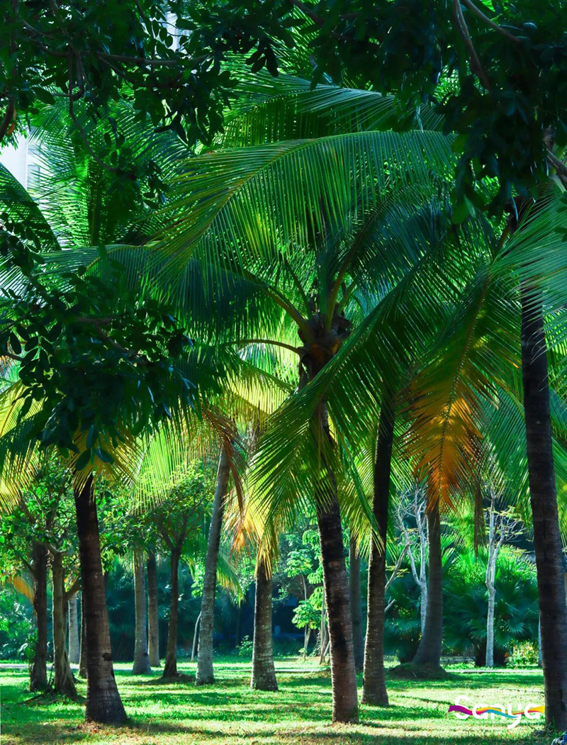 豪门国际官网-追求康健,你我一起生长