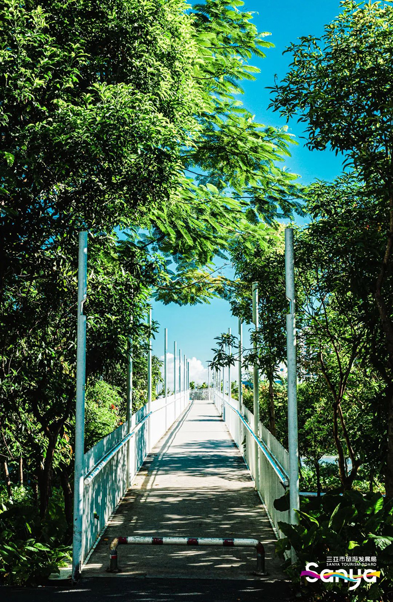 豪门国际官网-追求康健,你我一起生长