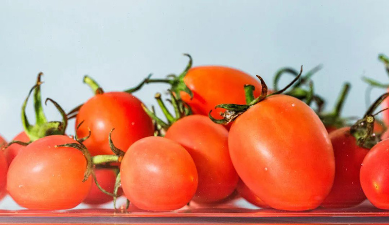 豪门国际官网-追求康健,你我一起生长