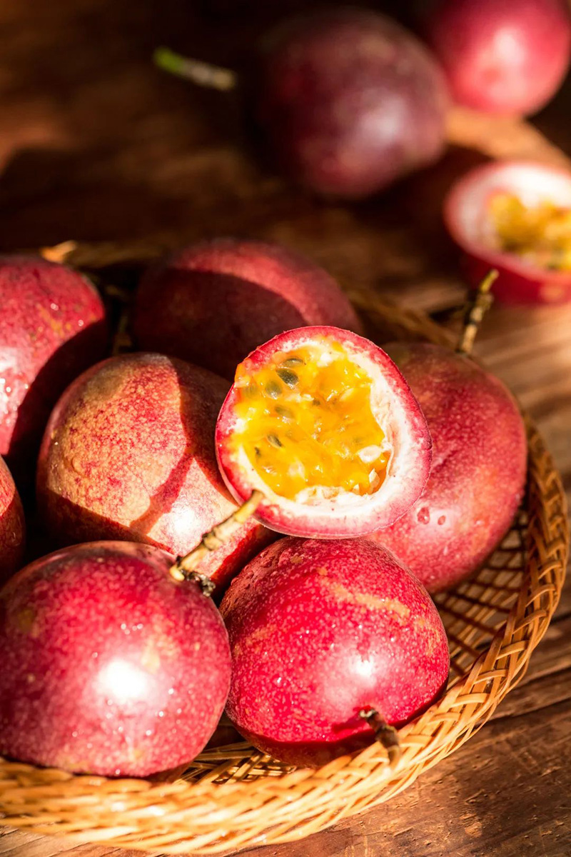 豪门国际官网-追求康健,你我一起生长