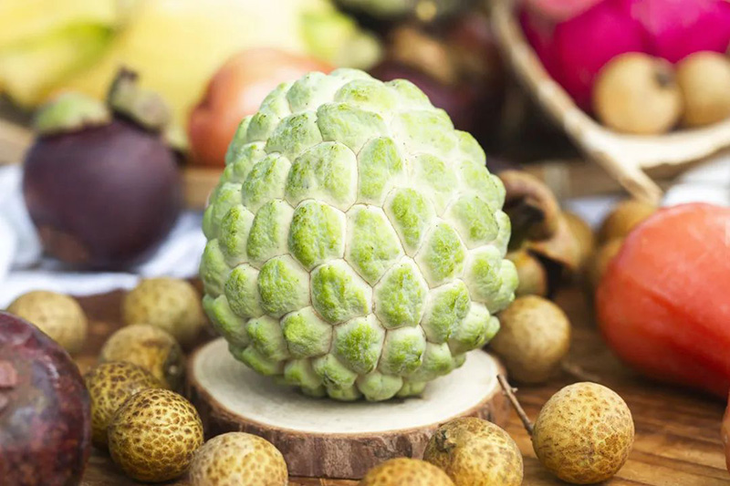 豪门国际官网-追求康健,你我一起生长