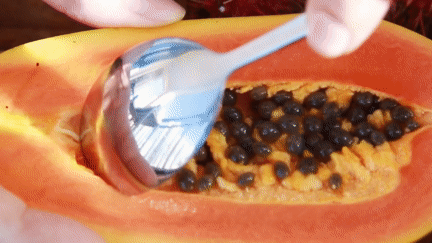 豪门国际官网-追求康健,你我一起生长