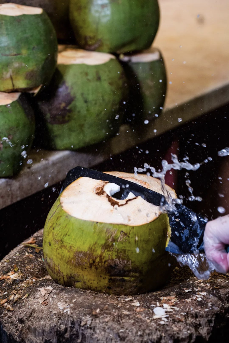 豪门国际官网-追求康健,你我一起生长