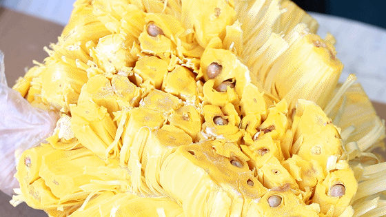 豪门国际官网-追求康健,你我一起生长