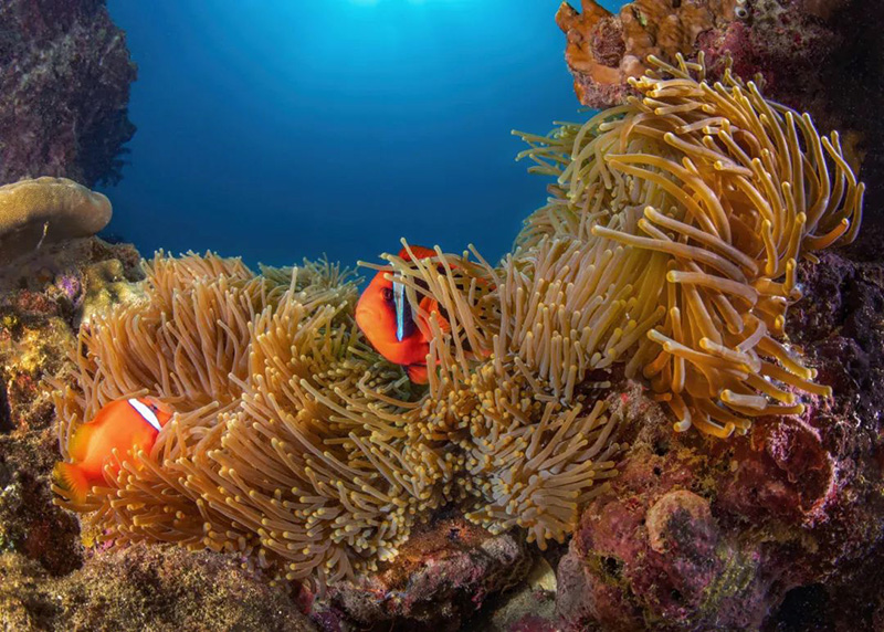 豪门国际官网-追求康健,你我一起生长