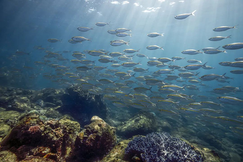 豪门国际官网-追求康健,你我一起生长