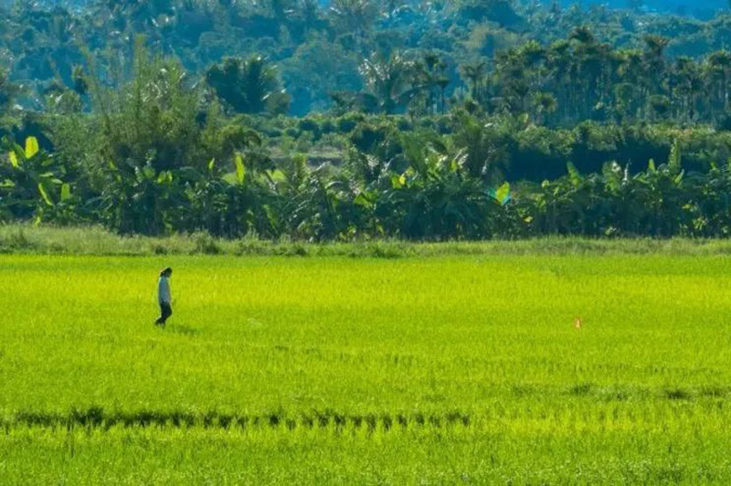 豪门国际官网-追求康健,你我一起生长