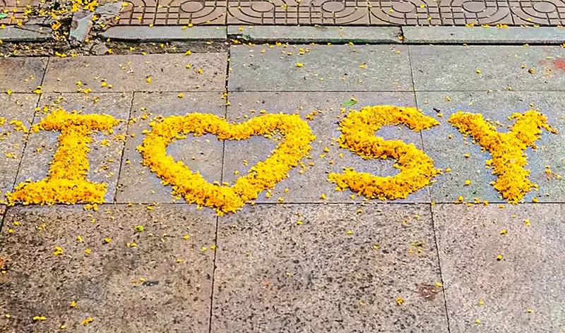 豪门国际官网-追求康健,你我一起生长