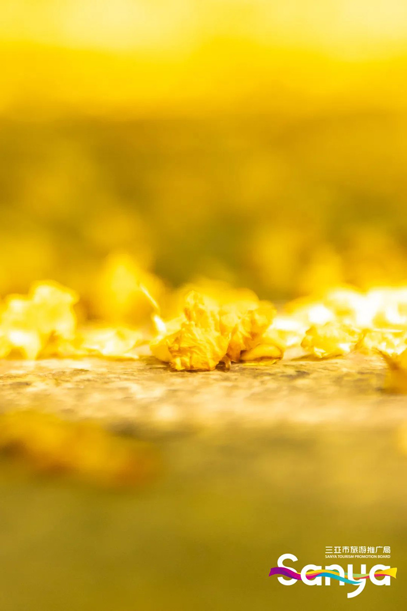 豪门国际官网-追求康健,你我一起生长