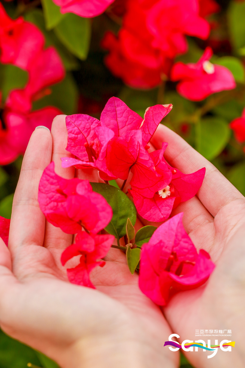 豪门国际官网-追求康健,你我一起生长