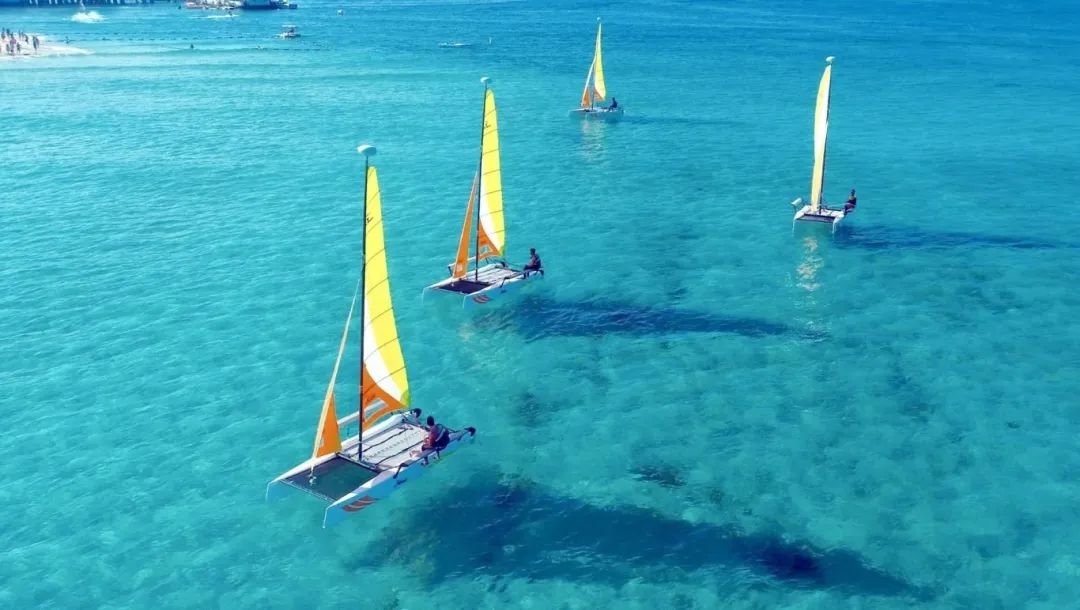 豪门国际官网-追求康健,你我一起生长