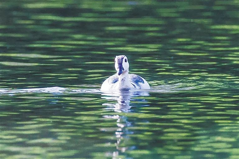 豪门国际官网-追求康健,你我一起生长