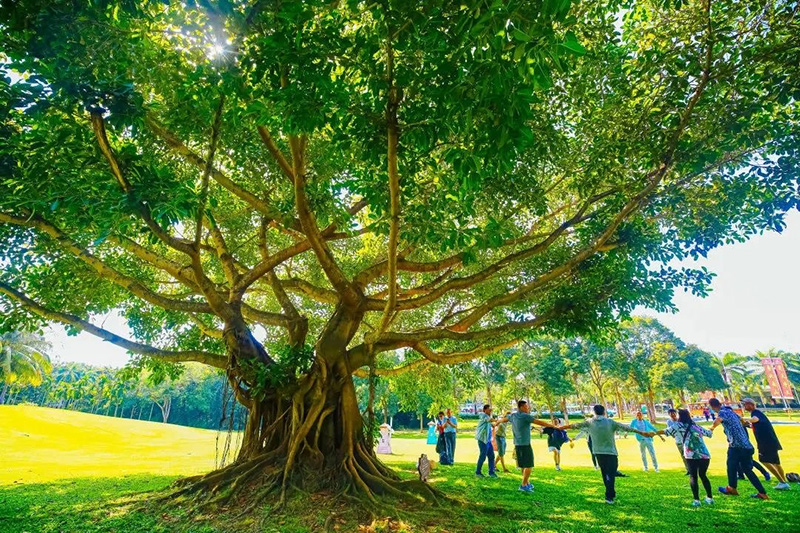 豪门国际官网-追求康健,你我一起生长
