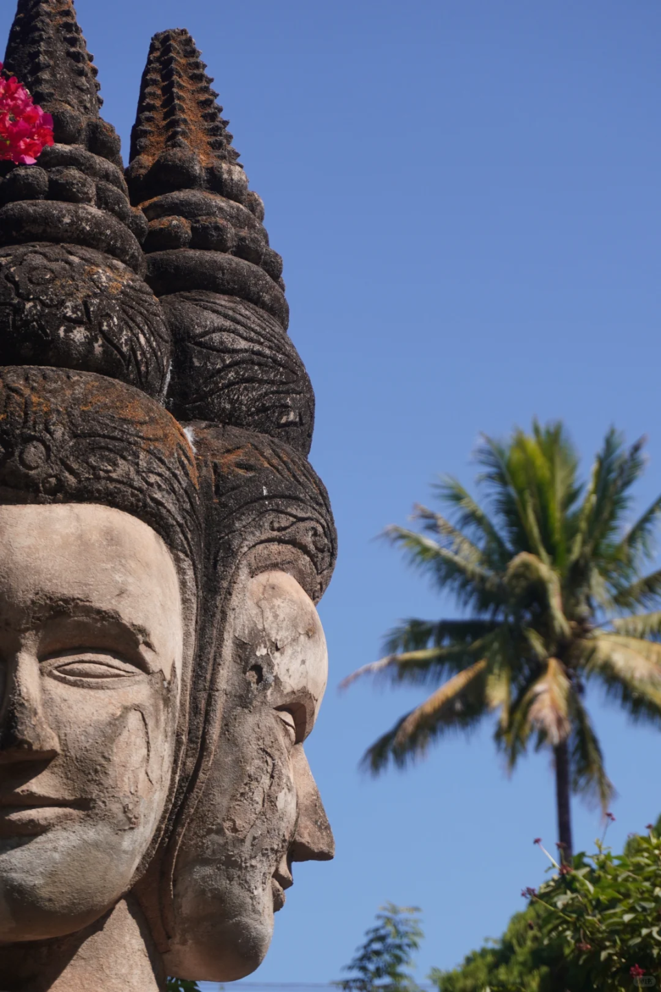 豪门国际官网-追求康健,你我一起生长