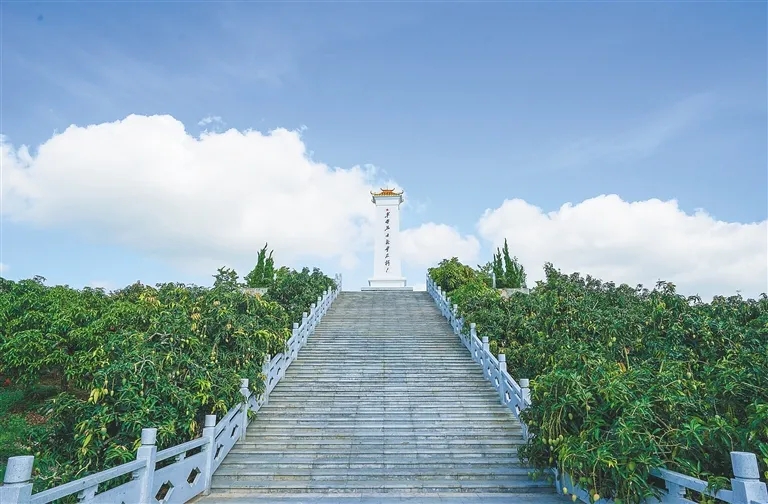 仲田岭革命凭证地-1.webp.jpg